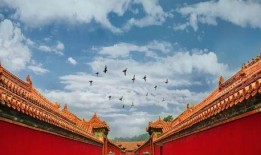 故宫最新爆料新闻事件是真的吗,揭秘真相，事件真实性引热议